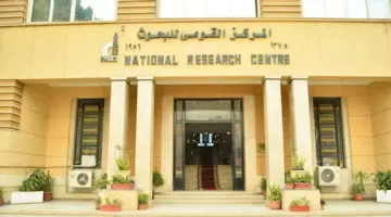 بينها تحمل بنزين السيارات.. 4 قرارات من القومي للبحوث لترشيد الاستهلاك